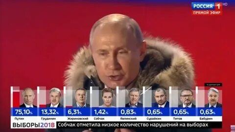 Кто победил на выборах в подмосковном пушкине
