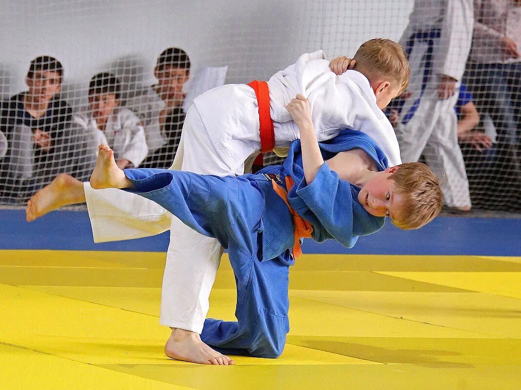 дзюдо апрель