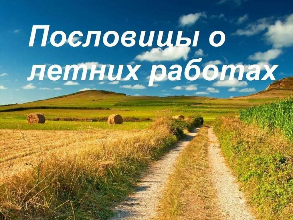 русские поговорки. русские народные пословицы и поговорки. пословицы из поговорок. художник табурин владимир амосович 1880-1954. фольклор.
