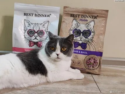 Cats are good