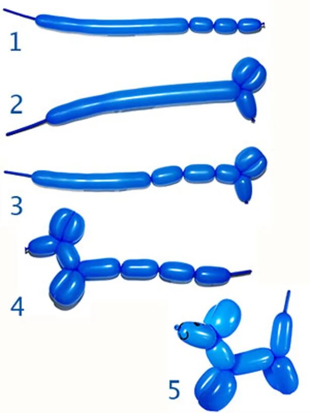 Схемы для шариков колбасок для начинающих. Как сделать собачку из шарика колбаски. Как делать собаку из длинных шариков. Как сделать собачку из длинного шарика. Как делать собачку из шарика длинного поэтапно.
