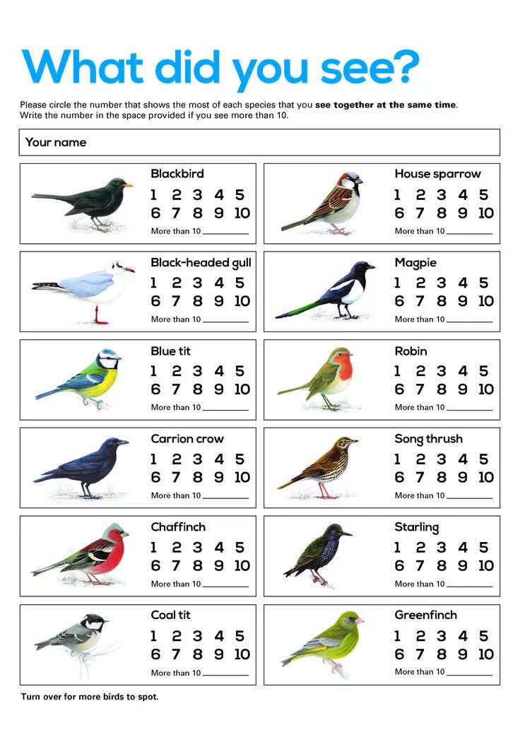 Birds tasks for Kids. Птицы на английском для детей. Birds Worksheets. Vocabulary Worksheets Birds.