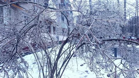 Осадки богородск