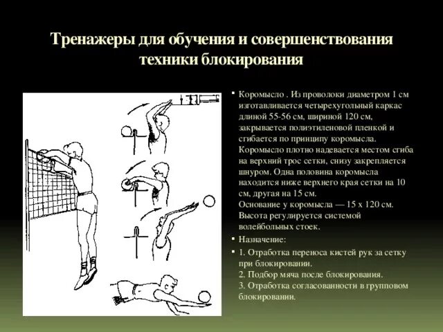 Совершенствование одиночного блокирования в волейболе. Ошибки при блокировании в волейболе. Групповое блокирование в волейболе. Блокирование мяча в волейболе.