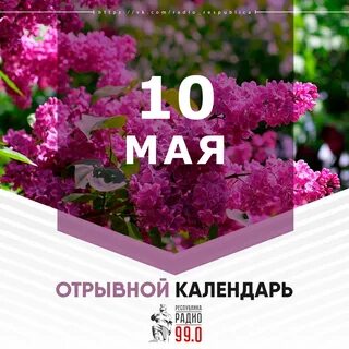 Рабочие дни в мае днр