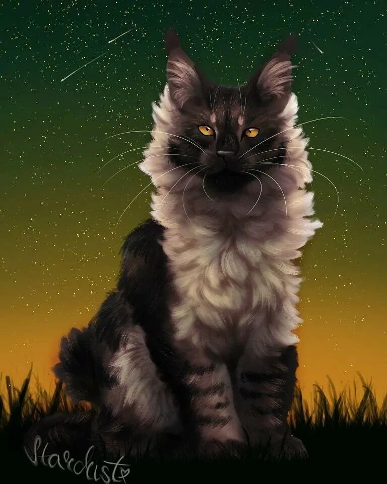 кот пикрил. Warrior cats picrew. мейкер коты воители picrew. тенесвет коты воители арт. Felidae warrior cats creator.