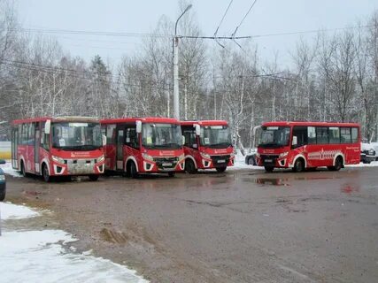 Автобусы слева