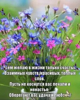 25 августа какой день лета