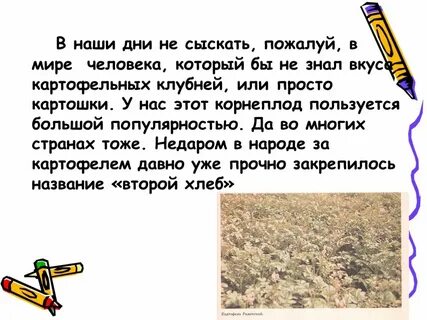 Ах картошка пионеров идеал