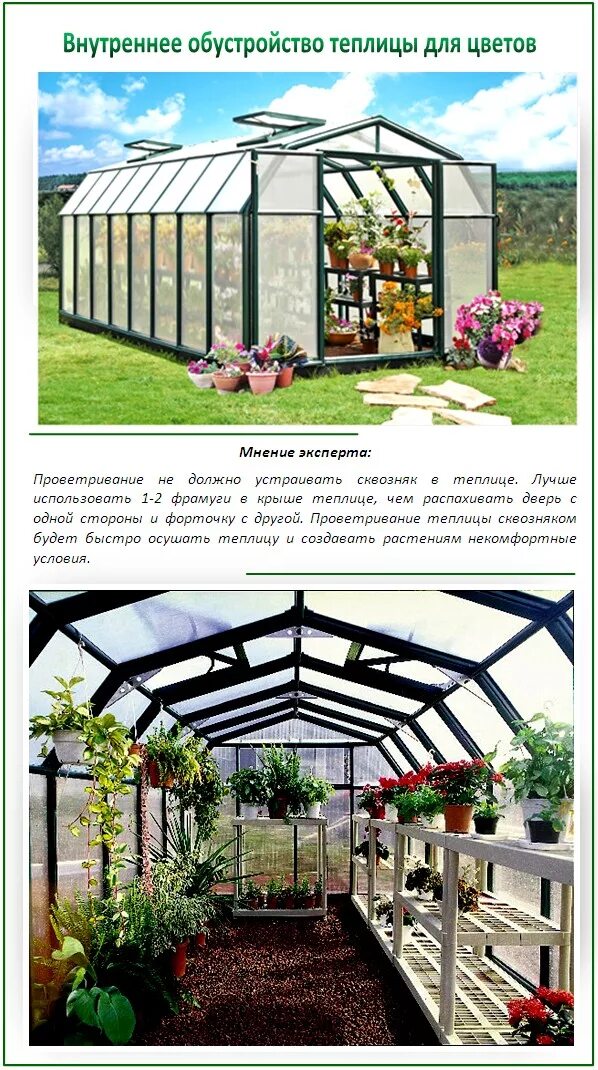 Как распланировать теплицу