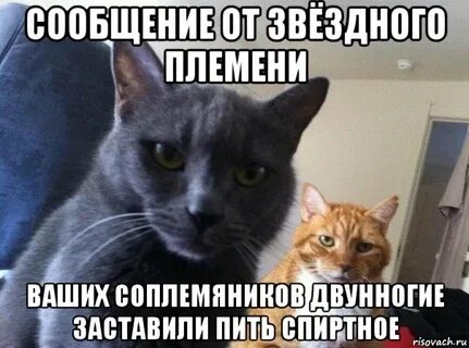Привет пропажа не звонишь не пишешь даже