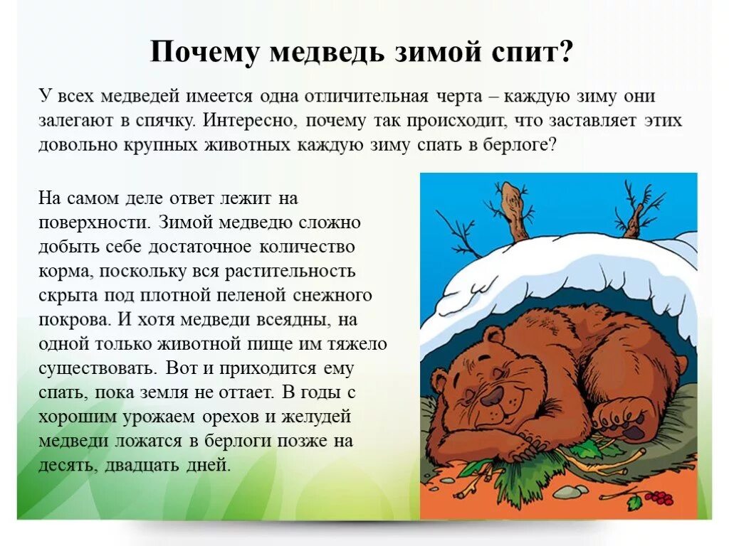 В берлоге функциональная грамотность