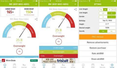 Dash pocketfi app