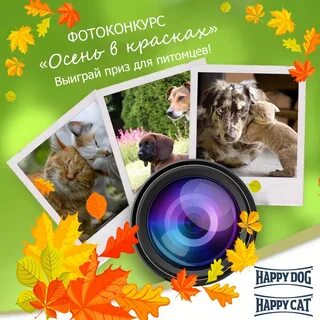 Фотоконкурс в объективе