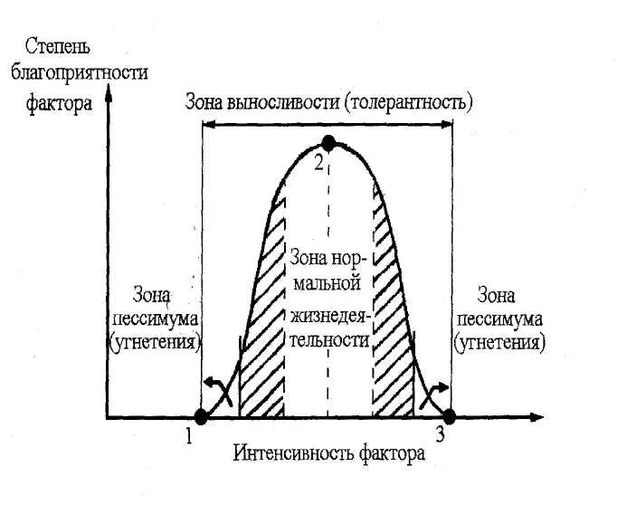 Схема действия факторов среды на живые организмы. Схема лимитирующего фактора. Ограничивающий фактор в экологии. Широкие пределы выносливости. Зона выносливости организмов.