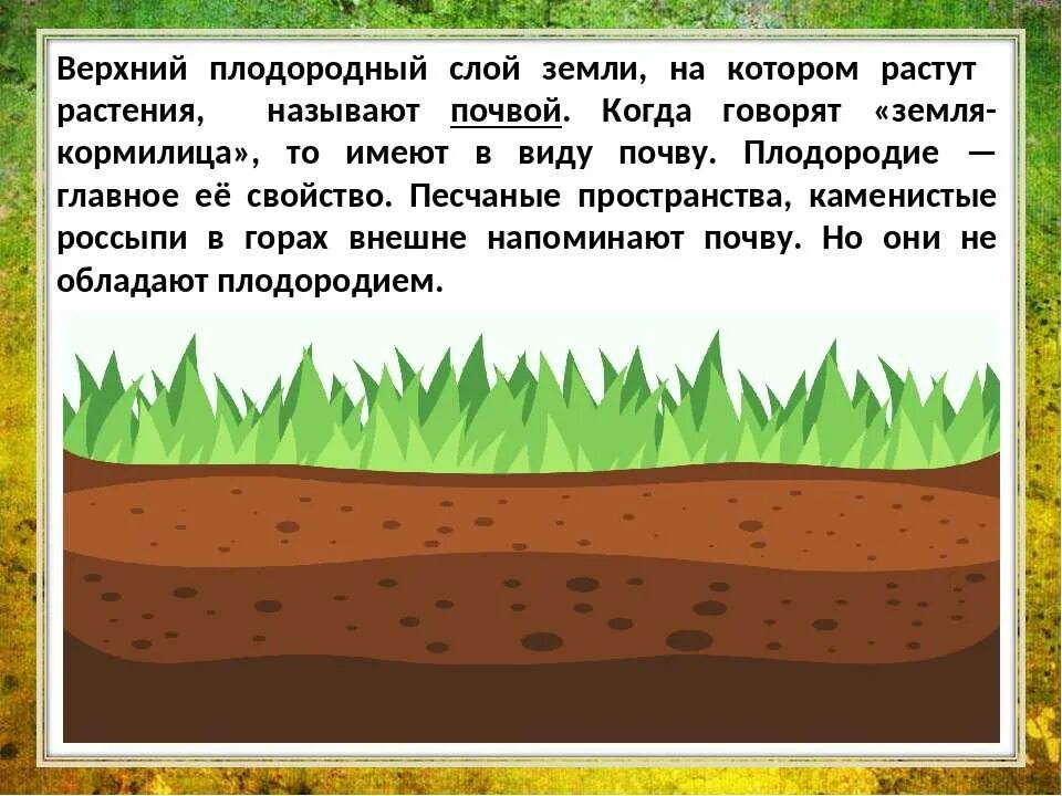 Плодородный слой. Почва. Почва для детей. Рисунок плодородной почвы.