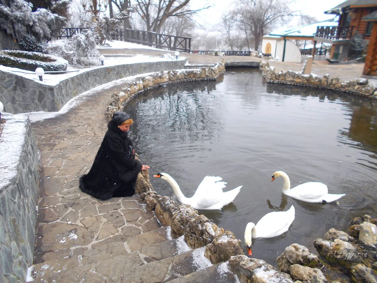 Парк родник сайт. Парк Родник Пятигорск. Зоопарк в Пятигорске Родник. Парк Родник Пятигорск зимой.