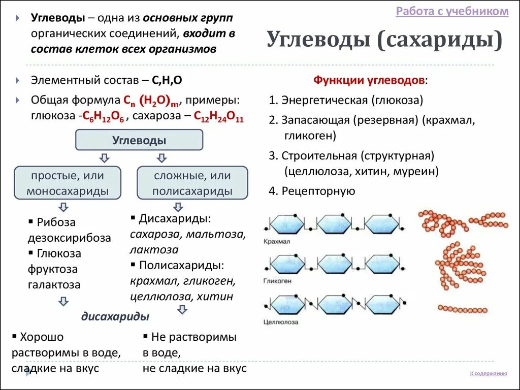 Химические соединения углеводов. Химический состав клетки углеводы. Химическая структура углеводов. Строение углеводов таблица. Углеводы к какой группе относится