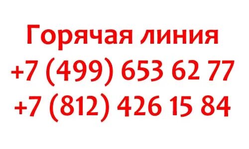 Аптеки спб горячая линия. ГОРЗДРАВ горячая линия. Горячая линия аптек. Горячая линия аптеки ГОРЗДРАВ. Номер телефона горячей линии аптек.