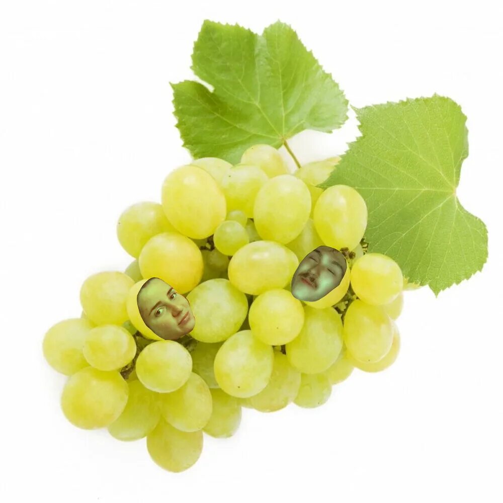 White grape