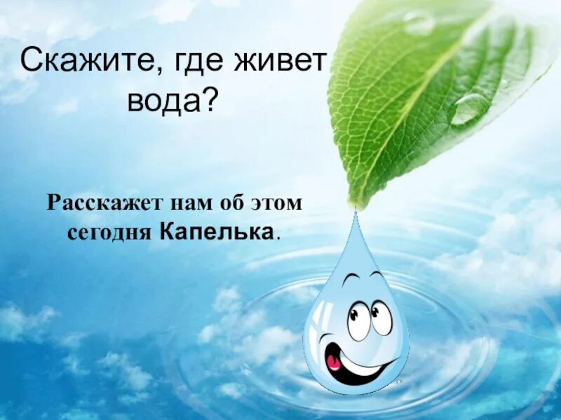 Здесь есть вода. Где живет вода. где живут капельки воды. вода везде. капелька живой воды для детей.