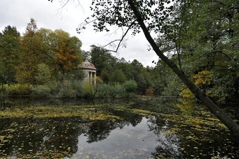 Сады жуковский
