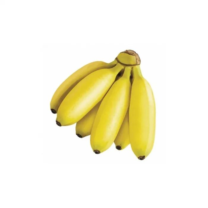 Где можно купит банан. Банан и мини банан. Бананы мини. Мелкие бананы. Маленькие бананчики.