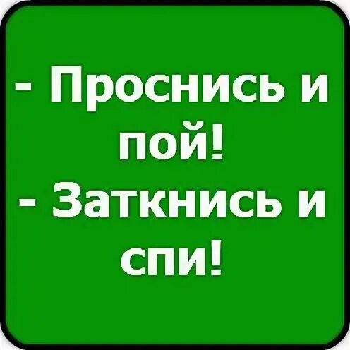 Проснись и пой заткнись и спи. Мозг перед сном. Фото проснись и пой заткнись и спи. Проснись и пой заткнись и спи. Заткнись.