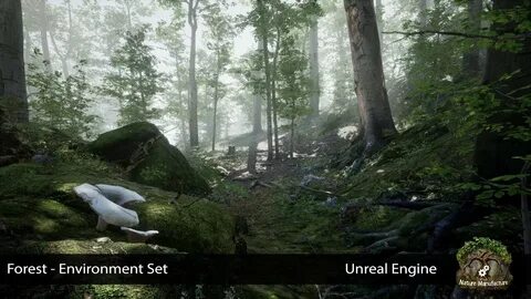 Unreal engine forest