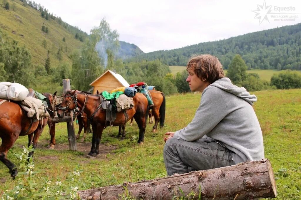 Конный поход Алтай. Конный тур по Алтаю. Алтай тур на лошадях. Конный туризм в Республике Алтай.