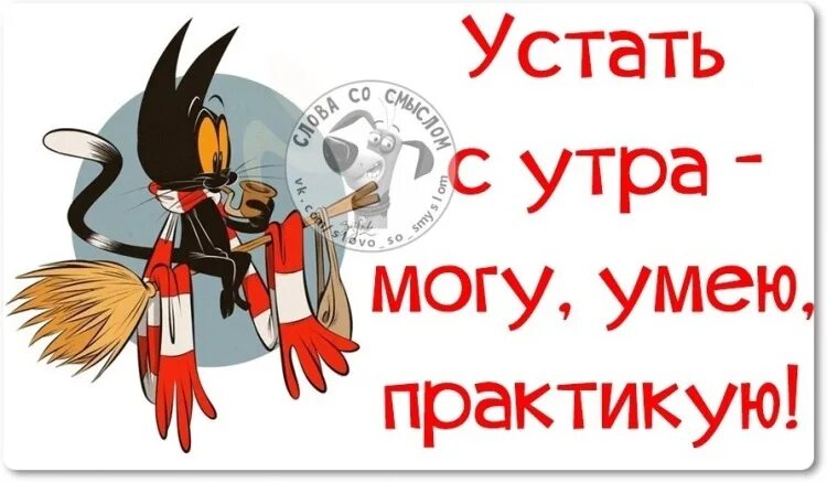 Могу умею практикую. Картинки могу умею практикую. могу умею практикую мем. могу умею практикую фраза. умеем практикуем цитата.