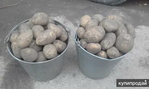 Самый вкусный рассыпчатый картофель