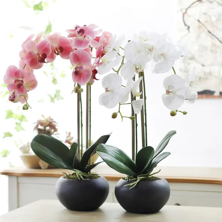 Фаленопсис в горшке. Искусственная Орхидея в кашпо. Декоративные кашпо с орхидеями искусственными.