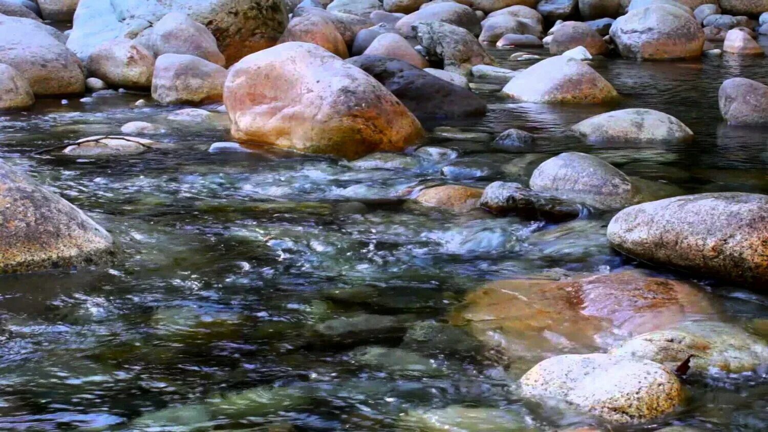 Вода в реках всегда. Вода река. Реки воды живой. Водный поток. Вода бежит.