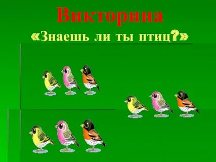 Знаешь викторины