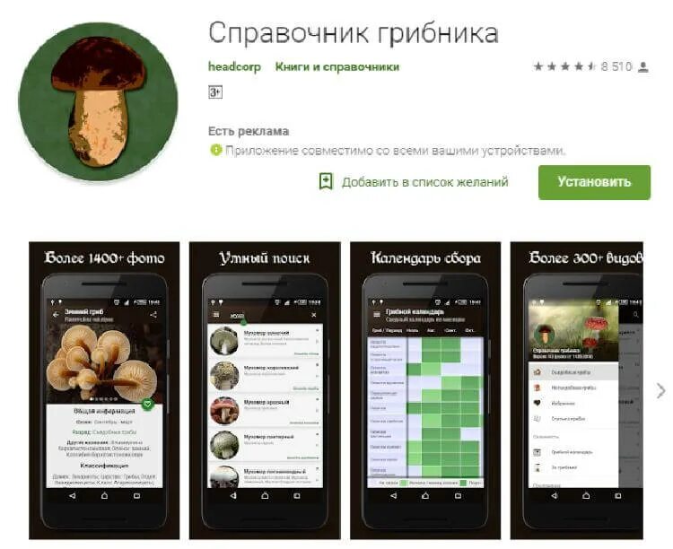 Определить грибы приложение. Справочник грибника приложение. справочник грибника. приложение для распознавания грибов. определение грибов по фото приложение.