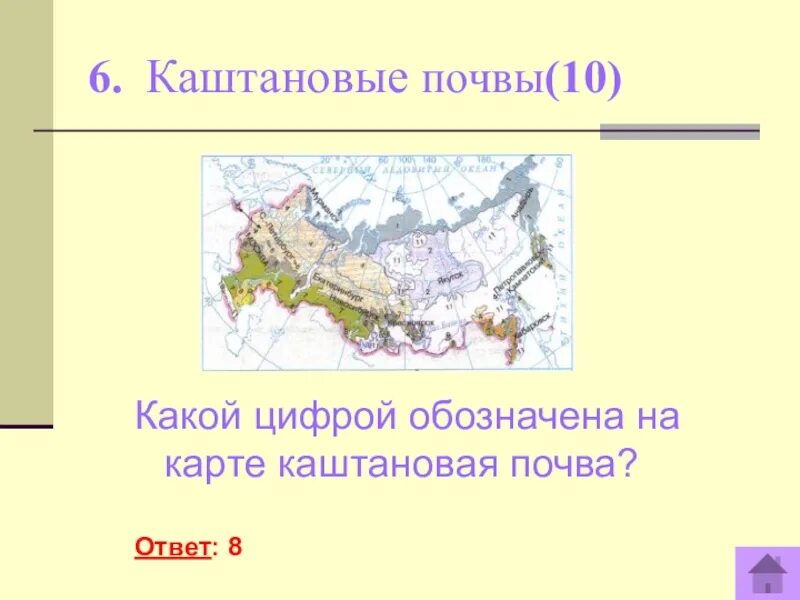 Процесс образования почвы. Номенклатура россии по географии. Обобщающий урок по географии 6 класс. Обобщающий урок. Обобщающий урок по географии 8 класс.