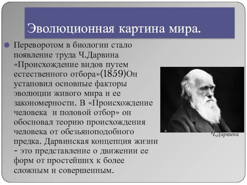 Эволюционные идеи ученых. Теория Дарвина 1859. Ч Дарвин происхождение видов. Основные труды Дарвина по эволюции.