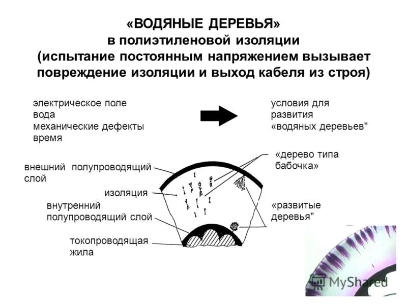 Факт выхода из изоляции