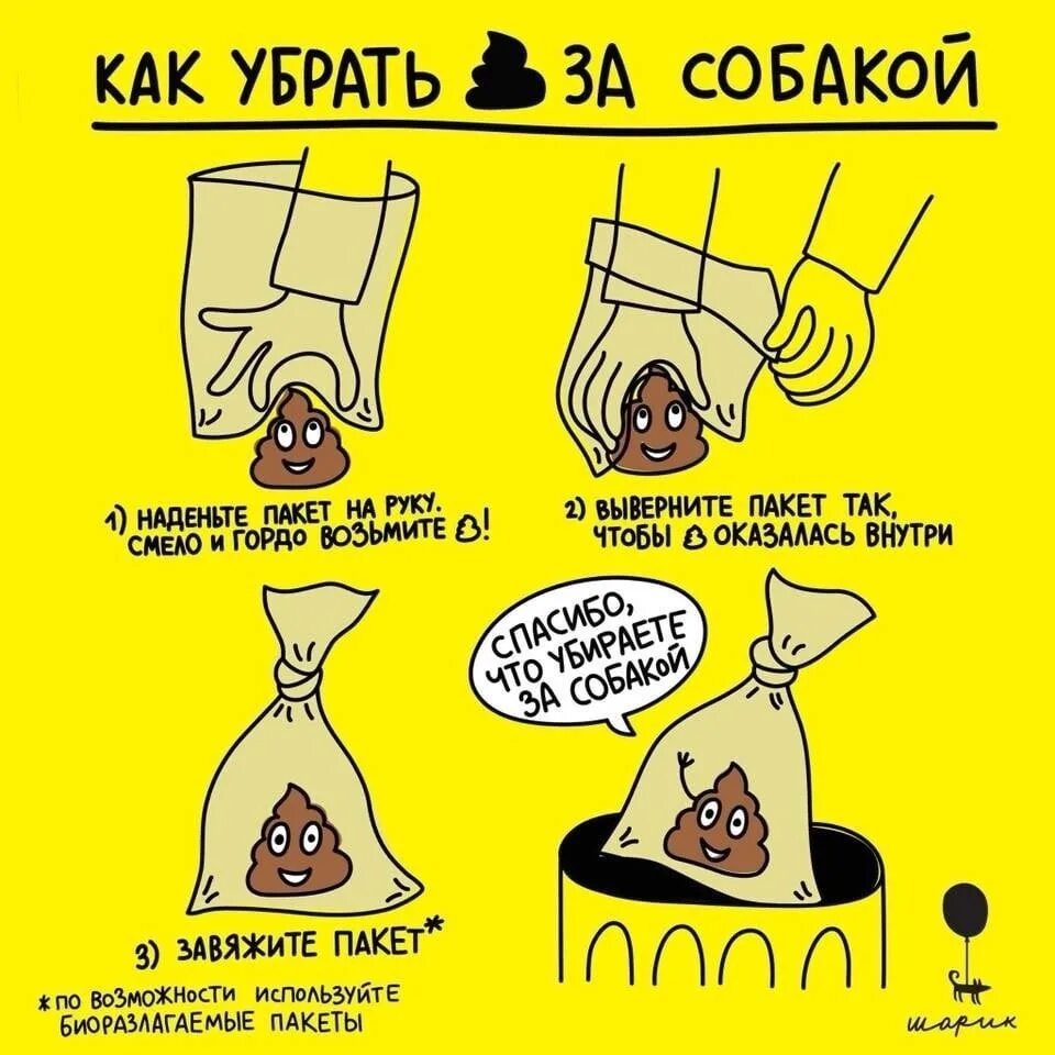 Снять какашку. Убирайте говно за собаками. Убирать за собакой. Как убирать за собакой. Табличка убирать за собакой.