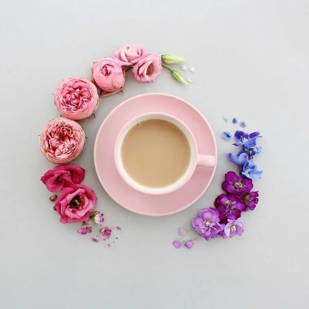 С добрым утром новые красивые необычные оригинальные. Доброе утро креативные. Позитивные пожелания. Сказочное утро. Художница-иллюстратор из италии синция болонези (cinzia bolognesi).