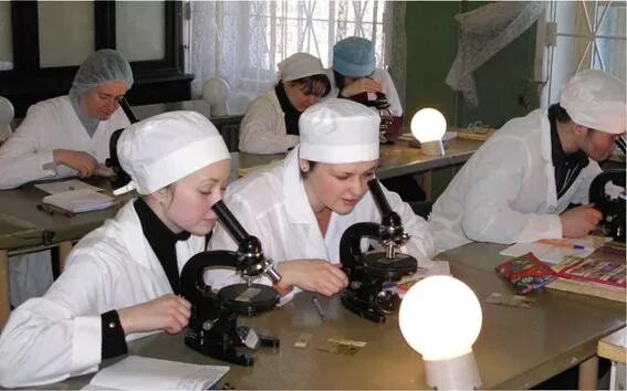 Кафедра гистологии. Кафедра гистологии