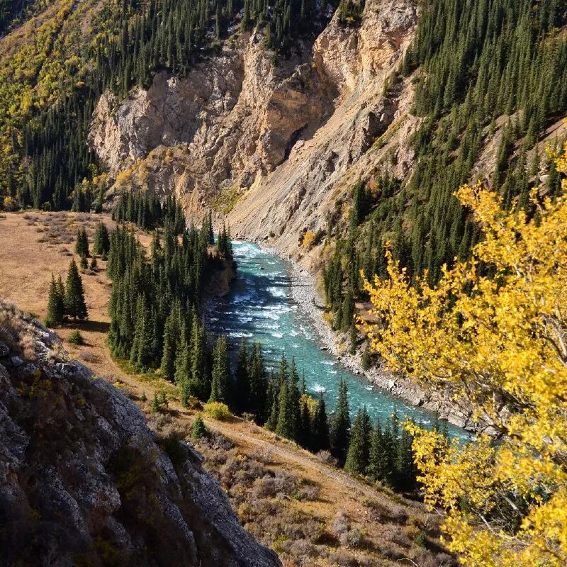 Река нарын в киргизии. Нарын горная река. Горный речка нарын. Нарын киргизия. Река нарын исток.