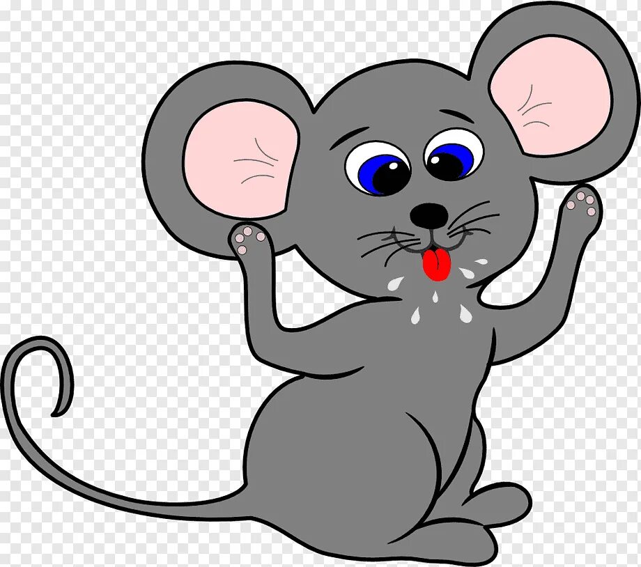 A mouse a small body