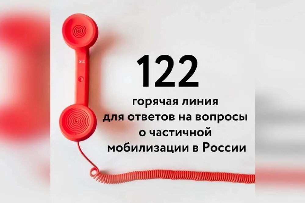 Телефон 122 платный. Горячая линия. Горячая линия мобилизация. Горячая линия по вопросам мобилизованных. Горячие линии по вопросам мобилизации.