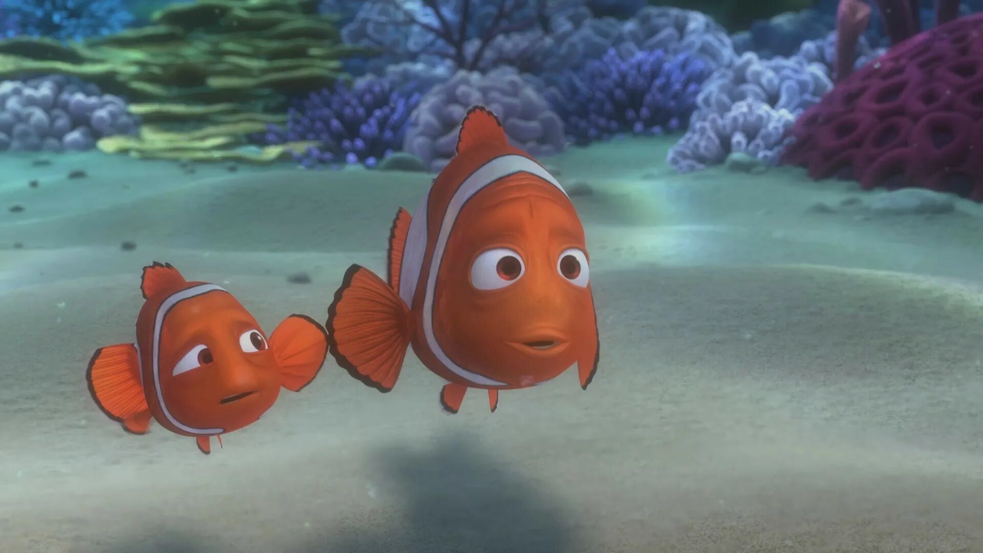 Finding nemo 2003. Немо мультик. немо 2003. рыбка немо фильм. в поисках немо 2003.