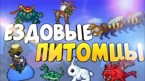 Питомцы в террарии