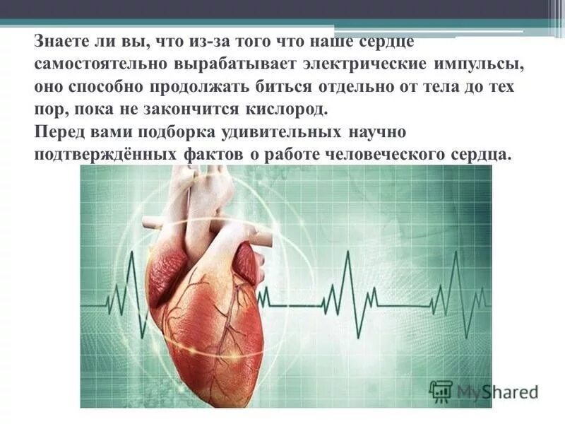 Сердце человека литература. Интересные факты о сердце. Факты о сердце человека. Интересные сердца. Интересное о сердце человека.