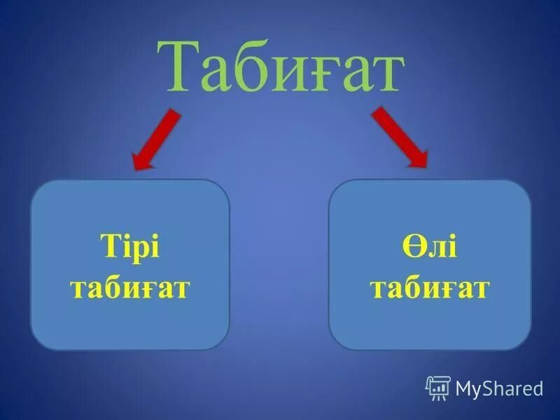 өлі табиғаттағы үдерістер 6 сынып жаратылыстану