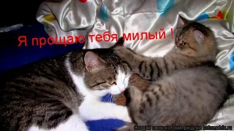 Прости конечно